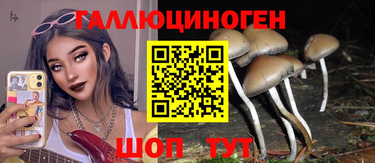 как найти закладки  Псилоцибиновые грибы Magic Shrooms  Вход с VPN  Сегежа 