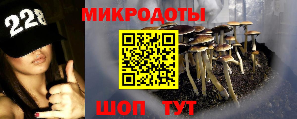 Псилоцибиновые грибы Magic Shrooms Сегежа
